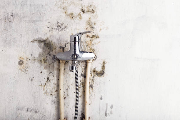 Best Mold Testing  in Vinton, TX