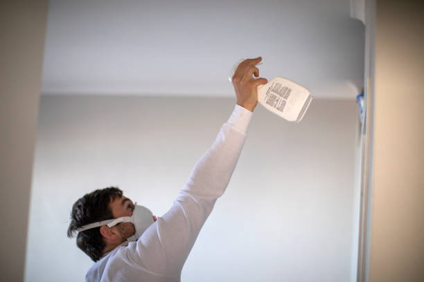 Best Residential Mold Removal  in Vinton, TX