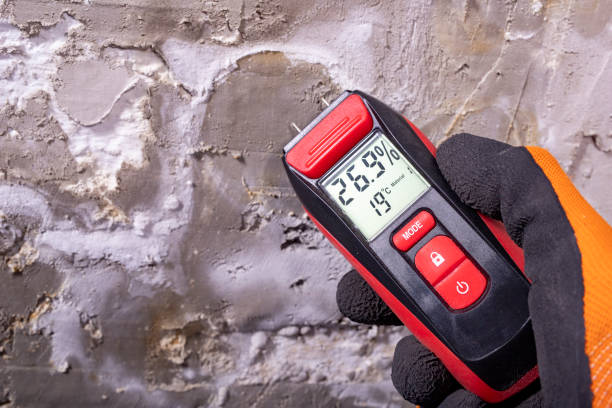 Certified Mold Removal in Vinton, TX