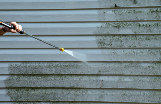 Best Home Mold Removal  in Vinton, TX